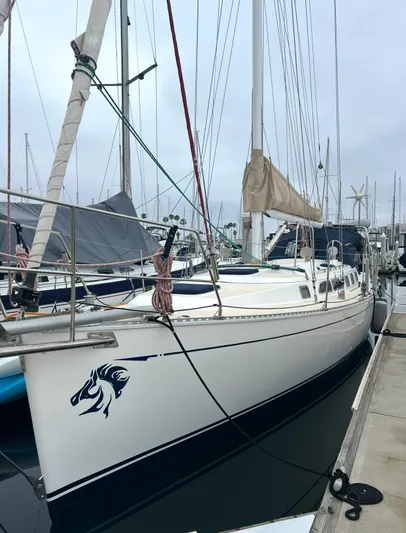 Wild Horses Yacht Photos Pics 