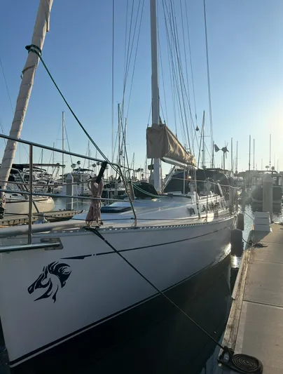 Wild Horses Yacht Photos Pics 