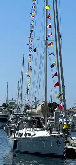 Wild Horses Yacht Photos Pics 