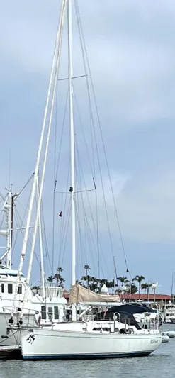 Wild Horses Yacht Photos Pics 