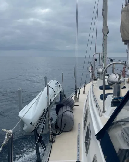 Wild Horses Yacht Photos Pics 