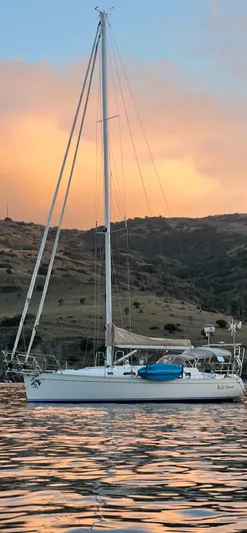 Wild Horses Yacht Photos Pics 