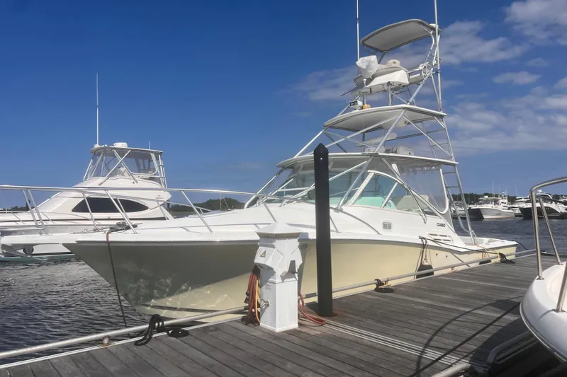 Unreel Yacht Photos Pics 2001 Cabo 31 Express boat docked at marina under clear blue sky.