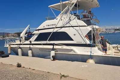 1990 Bertram 50