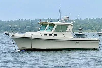 Albin 28 Tournament Express