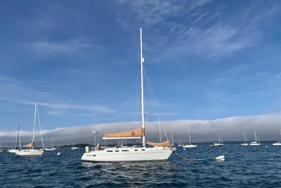 Freedom 38