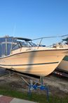 1999 Bayliner Trophy