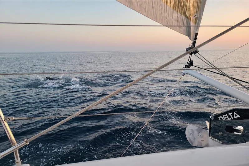 Emmanuel Yacht Photos Pics 2023 Privilege Signature 510