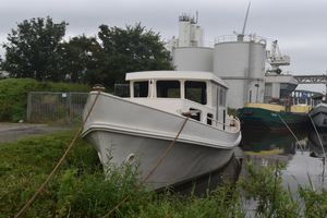 1950 Loodsboot 19.99