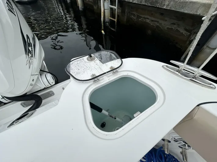 Reel Time Yacht Photos Pics 2022 Edgewater 340cc - Image 38