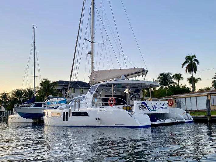Walkabout Yacht Photos Pics 2019 Royal Cape Catamarans 530 docked at marina, palm trees in background.