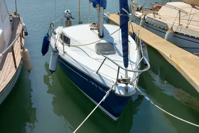 1983 Custom Bram 500