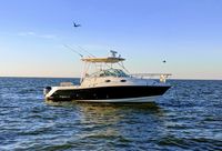 2007 Robalo R305 Walkaround