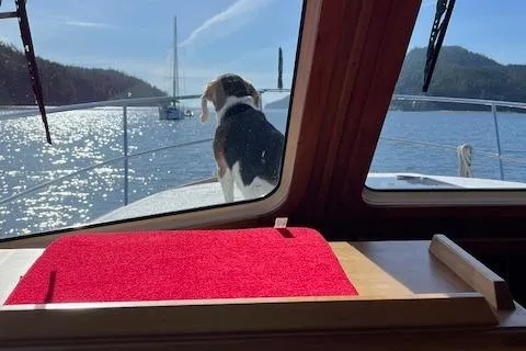 Time Out Yacht Photos Pics 