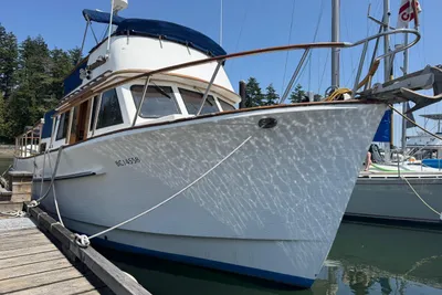 Monk 36