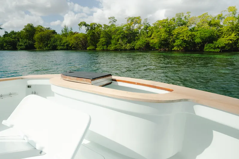 Sea Angel Yacht Photos Pics Scarborough 46 Convertible 1980 boat on calm water with lush green shoreline.