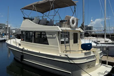 Camano 31