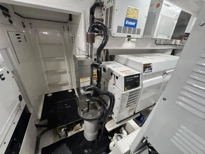 Dry Bones Yacht Photos Pics 