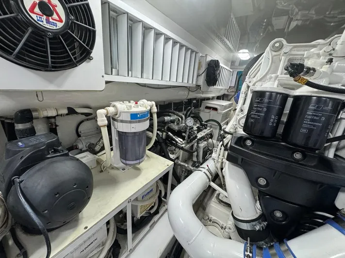 Dry Bones Yacht Photos Pics 