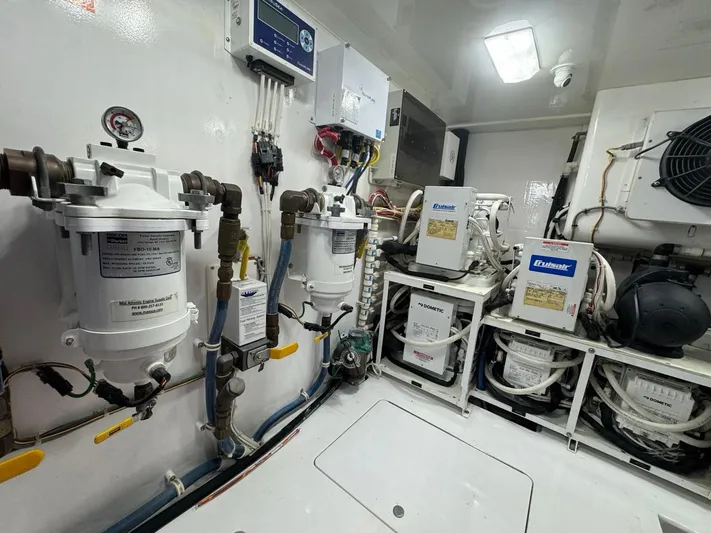 Dry Bones Yacht Photos Pics 