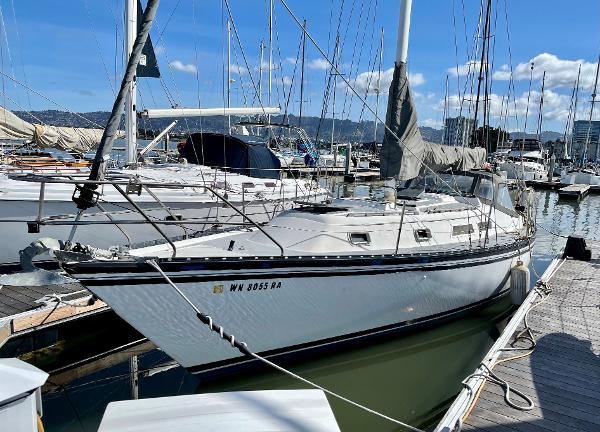 1984 Hunter Cherubini 37