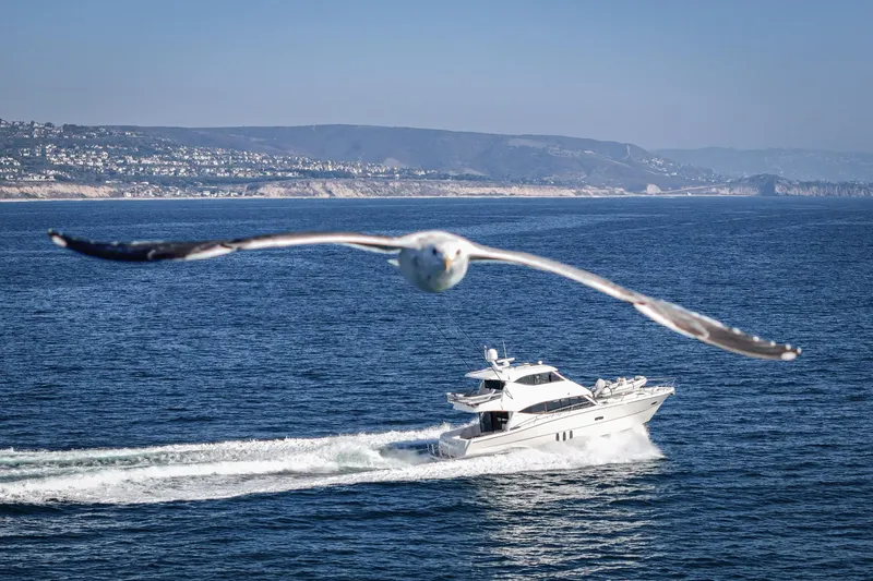 True North Yacht Photos Pics 