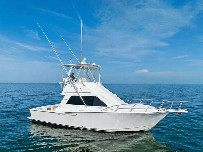 Bimini Twist Yacht Photos Pics 