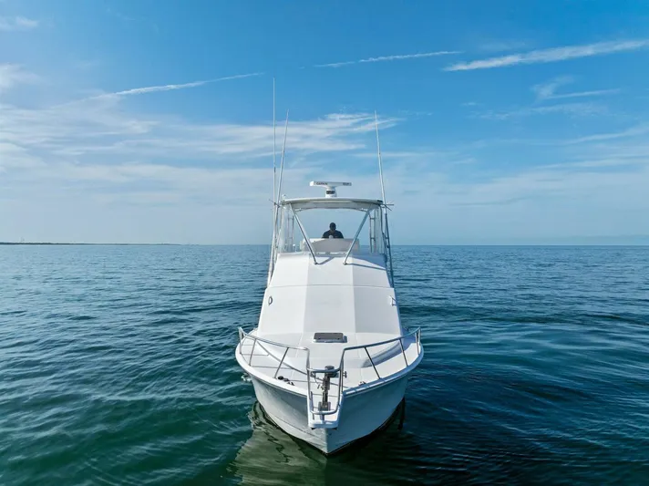 Bimini Twist Yacht Photos Pics 