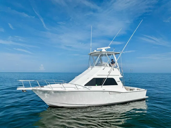 Bimini Twist Yacht Photos Pics 