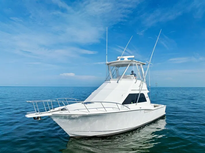 Bimini Twist Yacht Photos Pics 