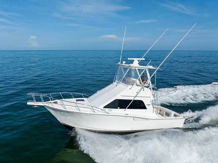 Bimini Twist Yacht Photos Pics 