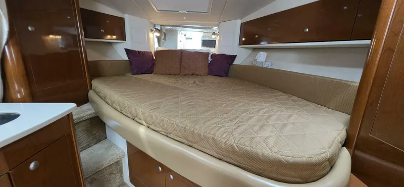  Yacht Photos Pics 2009 Sea Ray 310 Sundancer cabin with cozy bed and elegant wood finish.