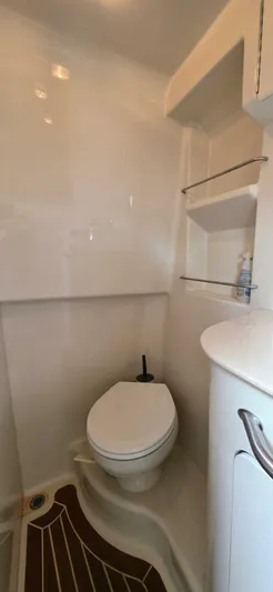  Yacht Photos Pics 2009 Sea Ray 310 Sundancer bathroom with toilet, shelves, and sink.