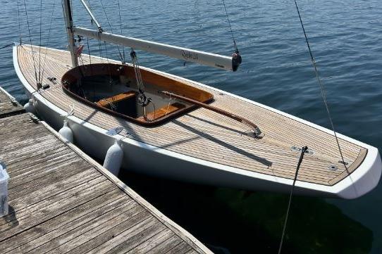 2010 Rustler 24 sailboat docked on calm water, featuring a sleek wooden deck.