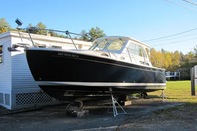 Back Cove 30