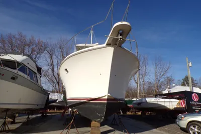 Jersey Dawn 40