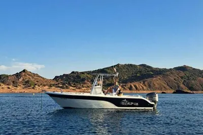 2023 Sea Fox 236 Sea Fox