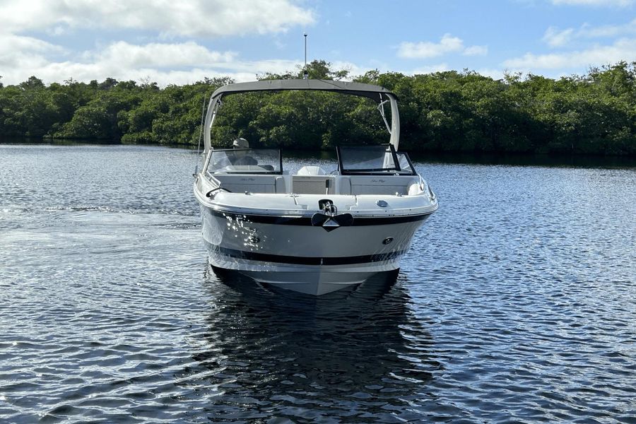 2023 Sea Ray 290 SDX OB