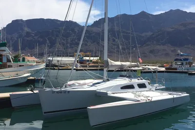 Custom Seaclipper 28