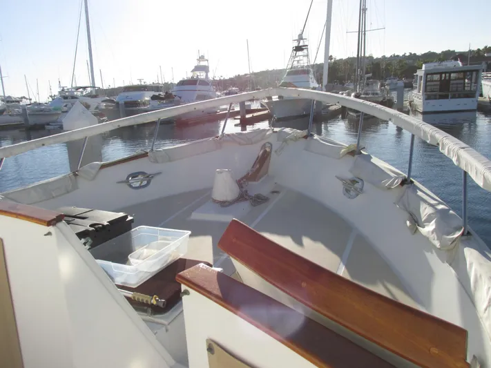 Doko Demo Yacht Photos Pics 