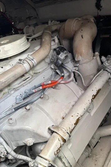 Reel Deal Yacht Photos Pics 