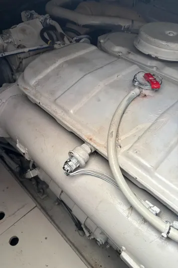 Reel Deal Yacht Photos Pics 