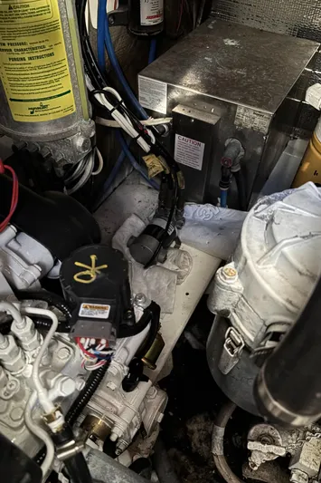 Reel Deal Yacht Photos Pics 