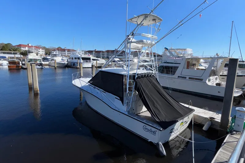 Reel Deal Yacht Photos Pics 2001 Carolina Classic 35 boat docked in marina under clear blue sky.