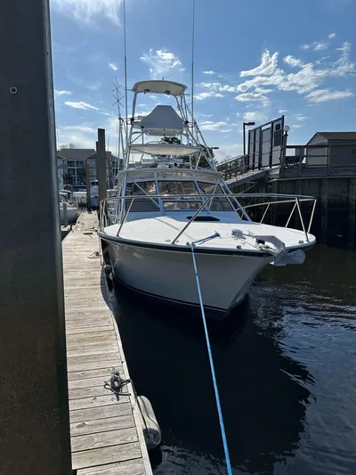 Reel Deal Yacht Photos Pics 