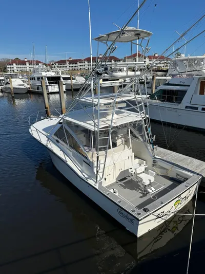 Reel Deal Yacht Photos Pics 