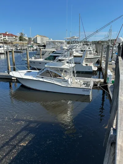 Reel Deal Yacht Photos Pics 