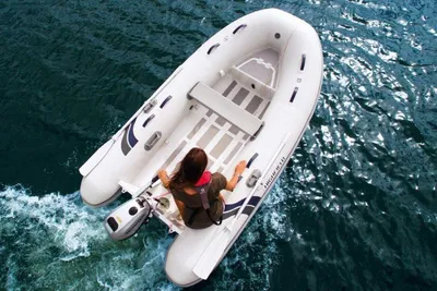 2025 Highfield CL 310