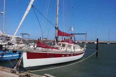 1988 Custom haliotis