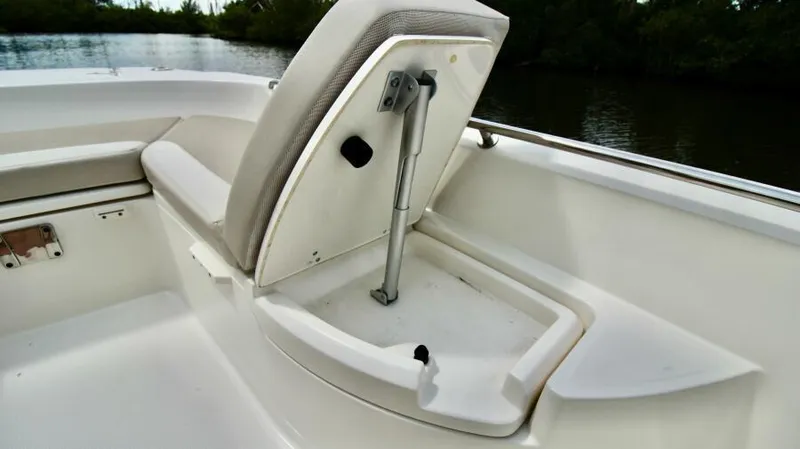  Yacht Photos Pics 2019 Boston Whaler DAUNTLESS boat seat with storage compartment open.